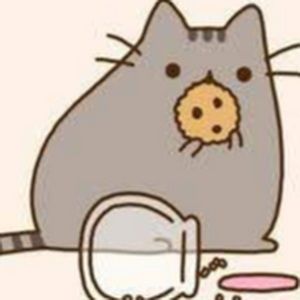 Meet your Posher, Yifei